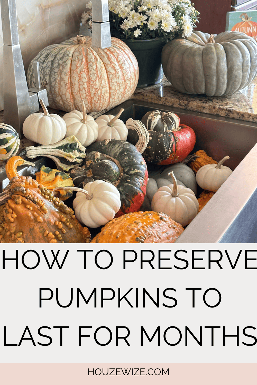 How To Preserve Pumpkins For Months Houzewize how-to-preserve-pumpkins-for-months-houzewize